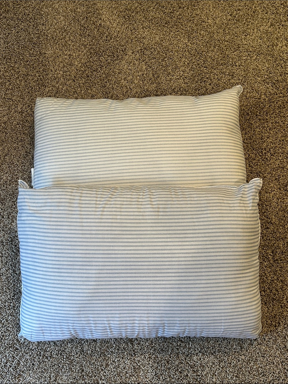 Hollander Live Comfortably Pillows 20x28 - Standard/Queen Set of 2